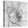 Abstract Floral Background-Helga Pataki-Stretched Canvas