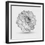 Abstract Floral Flower Dahlia-Helga Pataki-Framed Art Print