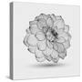 Abstract Floral Flower Dahlia-Helga Pataki-Stretched Canvas