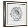 Abstract Floral Flower Dahlia-Helga Pataki-Framed Art Print