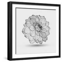 Abstract Floral Flower Dahlia-Helga Pataki-Framed Art Print