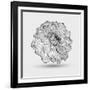 Abstract Floral Flower Dahlia-Helga Pataki-Framed Art Print