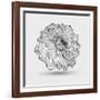Abstract Floral Flower Dahlia-Helga Pataki-Framed Art Print