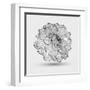 Abstract Floral Flower Dahlia-Helga Pataki-Framed Art Print