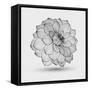 Abstract Floral Flower Dahlia-Helga Pataki-Framed Stretched Canvas