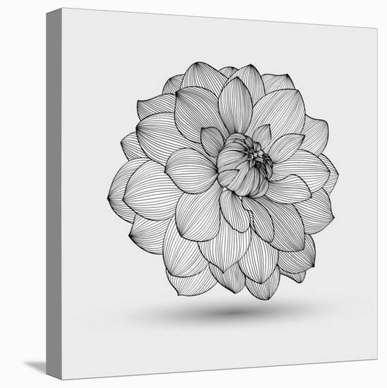 Abstract Floral Flower Dahlia-Helga Pataki-Stretched Canvas