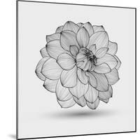 Abstract Floral Flower Dahlia-Helga Pataki-Mounted Art Print