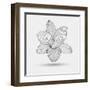 Abstract Floral Flower Lily-Helga Pataki-Framed Art Print