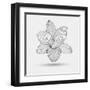 Abstract Floral Flower Lily-Helga Pataki-Framed Art Print