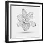 Abstract Floral Flower Lily-Helga Pataki-Framed Art Print