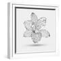 Abstract Floral Flower Lily-Helga Pataki-Framed Art Print