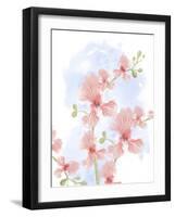 Abstract Floral Pastel Orchids-Matthew Piotrowicz-Framed Art Print