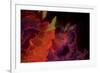 Abstract Floral-Whoartnow-Framed Giclee Print