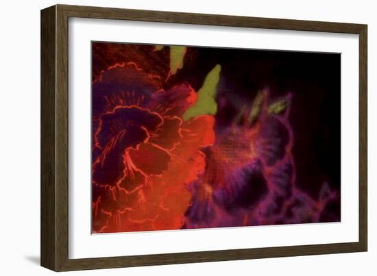 Abstract Floral-Whoartnow-Framed Giclee Print