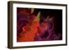 Abstract Floral-Whoartnow-Framed Giclee Print