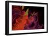 Abstract Floral-Whoartnow-Framed Giclee Print