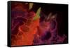 Abstract Floral-Whoartnow-Framed Stretched Canvas