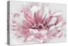 Abstract Flower 2 Pink-David Moore-Stretched Canvas