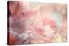 Abstract Flower Background-Timofeeva Maria-Stretched Canvas