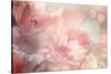 Abstract Flower Background-Timofeeva Maria-Stretched Canvas