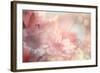 Abstract Flower Background-Timofeeva Maria-Framed Art Print