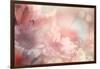 Abstract Flower Background-Timofeeva Maria-Framed Art Print