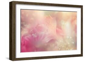 Abstract Flower Background-Timofeeva Maria-Framed Art Print