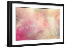 Abstract Flower Background-Timofeeva Maria-Framed Art Print