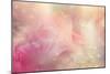 Abstract Flower Background-Timofeeva Maria-Mounted Premium Giclee Print