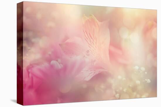 Abstract Flower Background-Timofeeva Maria-Stretched Canvas