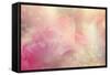 Abstract Flower Background-Timofeeva Maria-Framed Stretched Canvas