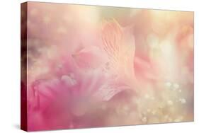 Abstract Flower Background-Timofeeva Maria-Stretched Canvas