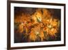 Abstract Flower Digital Painting,Illustration-Tithi Luadthong-Framed Premium Giclee Print