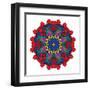 Abstract Flower Figure-olgavarlamova-Framed Art Print