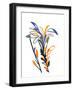 Abstract Flower Painting with Raoul Dufy and Fauvism Style. Modern and Trendy Art for Print and Pos-La Cassette Bleue-Framed Photographic Print