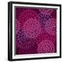 Abstract Flower Texture in Gentle Colors-Lola Tsvetaeva-Framed Premium Giclee Print