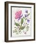 Abstract Flowers 2-Beverly Johnston-Framed Giclee Print