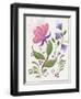 Abstract Flowers 2-Beverly Johnston-Framed Giclee Print