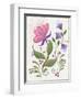 Abstract Flowers 2-Beverly Johnston-Framed Giclee Print