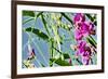 Abstract Flowers 8807-Rica Belna-Framed Giclee Print