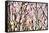 Abstract Flowers 8820-Rica Belna-Framed Stretched Canvas