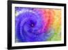 Abstract flowers in a twirl.-Sheila Haddad-Framed Photographic Print