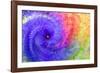 Abstract flowers in a twirl.-Sheila Haddad-Framed Photographic Print