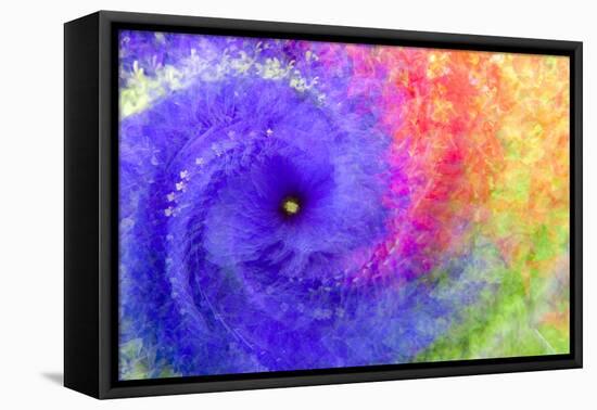 Abstract flowers in a twirl.-Sheila Haddad-Framed Stretched Canvas