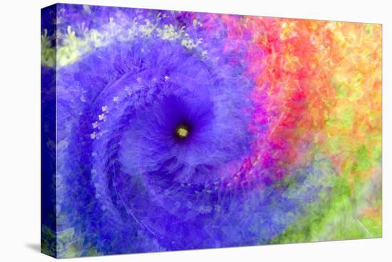 Abstract flowers in a twirl.-Sheila Haddad-Stretched Canvas