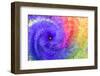 Abstract flowers in a twirl.-Sheila Haddad-Framed Photographic Print