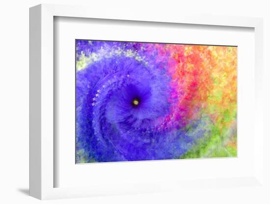 Abstract flowers in a twirl.-Sheila Haddad-Framed Photographic Print