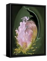 Abstract Flowers-Ellen Anon-Framed Stretched Canvas