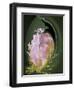 Abstract Flowers-Ellen Anon-Framed Photographic Print