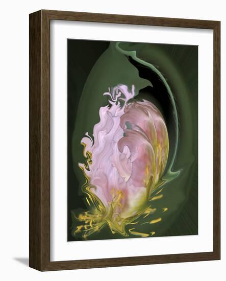 Abstract Flowers-Ellen Anon-Framed Photographic Print